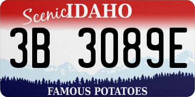 ID license plate 3B3089E