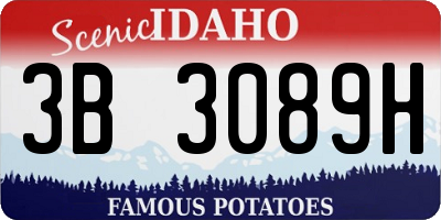 ID license plate 3B3089H