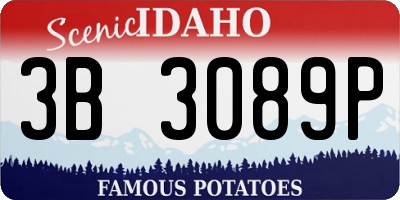 ID license plate 3B3089P