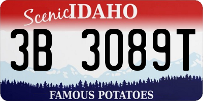 ID license plate 3B3089T
