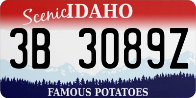 ID license plate 3B3089Z