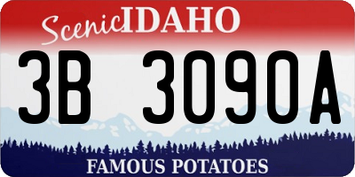 ID license plate 3B3090A