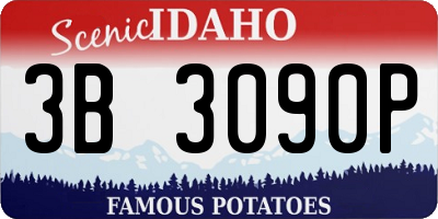 ID license plate 3B3090P