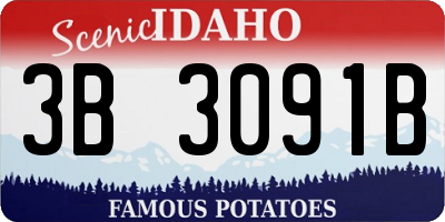 ID license plate 3B3091B