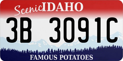 ID license plate 3B3091C