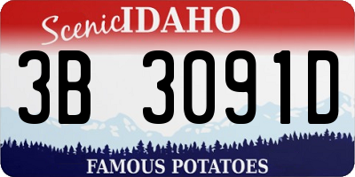 ID license plate 3B3091D