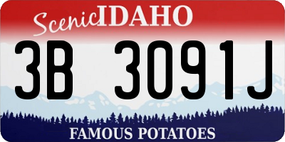 ID license plate 3B3091J