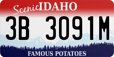 ID license plate 3B3091M