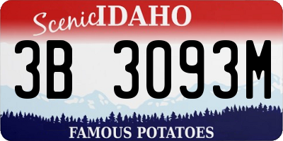 ID license plate 3B3093M