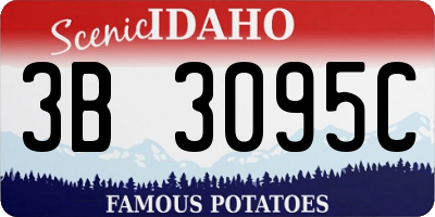 ID license plate 3B3095C