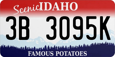 ID license plate 3B3095K
