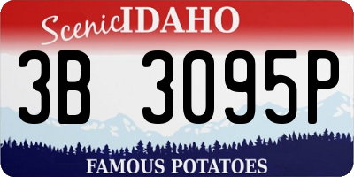 ID license plate 3B3095P
