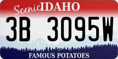 ID license plate 3B3095W