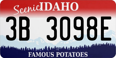 ID license plate 3B3098E