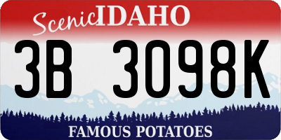 ID license plate 3B3098K