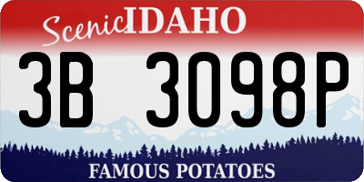 ID license plate 3B3098P