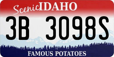 ID license plate 3B3098S