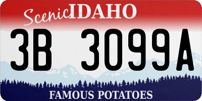ID license plate 3B3099A