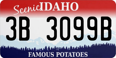 ID license plate 3B3099B