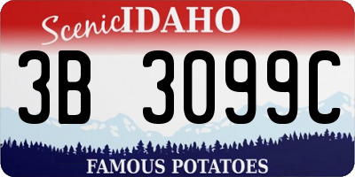 ID license plate 3B3099C