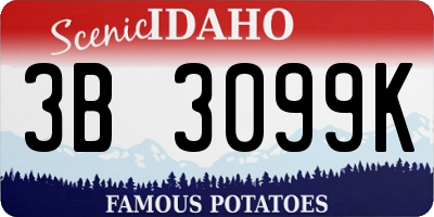 ID license plate 3B3099K