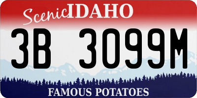 ID license plate 3B3099M