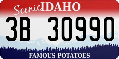 ID license plate 3B3099O