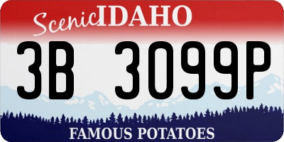 ID license plate 3B3099P