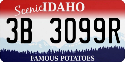 ID license plate 3B3099R