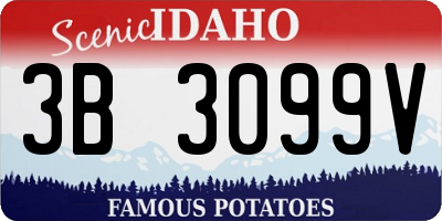ID license plate 3B3099V