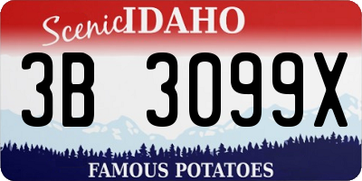 ID license plate 3B3099X