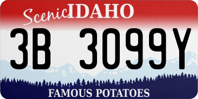 ID license plate 3B3099Y
