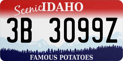 ID license plate 3B3099Z