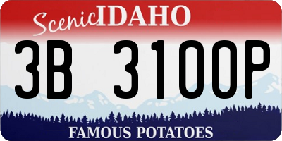 ID license plate 3B3100P