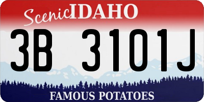 ID license plate 3B3101J