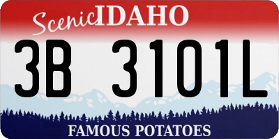 ID license plate 3B3101L