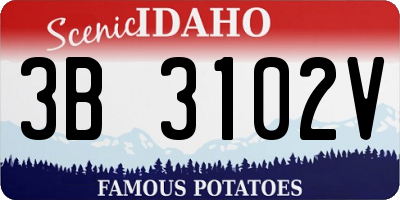ID license plate 3B3102V