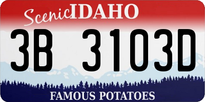 ID license plate 3B3103D