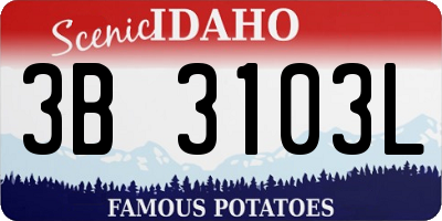 ID license plate 3B3103L