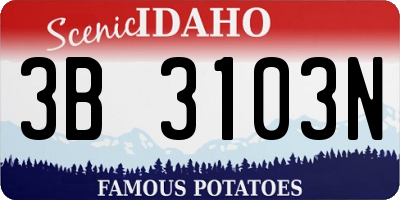 ID license plate 3B3103N