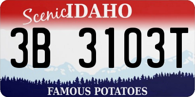 ID license plate 3B3103T