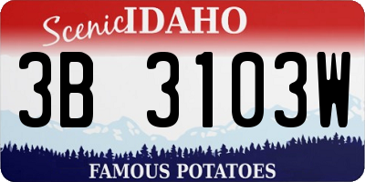 ID license plate 3B3103W