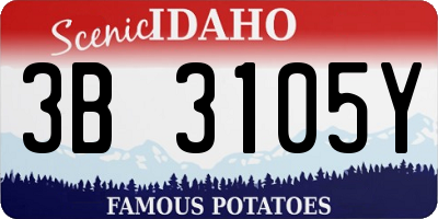 ID license plate 3B3105Y
