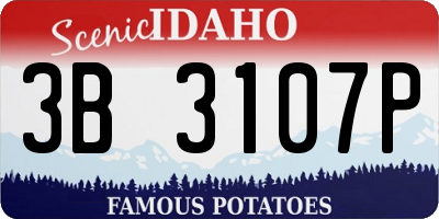 ID license plate 3B3107P