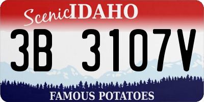 ID license plate 3B3107V