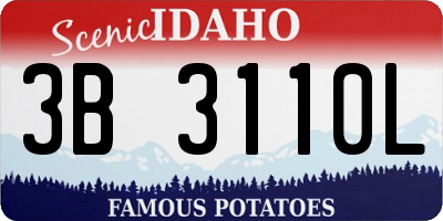 ID license plate 3B3110L