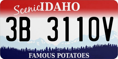 ID license plate 3B3110V