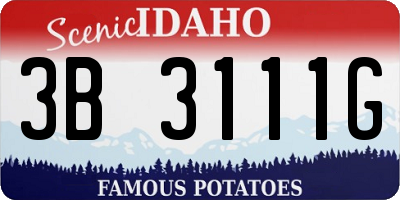 ID license plate 3B3111G