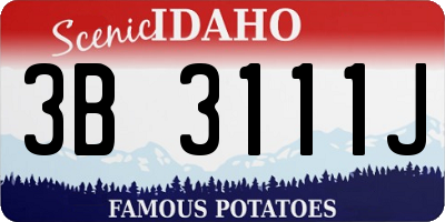 ID license plate 3B3111J