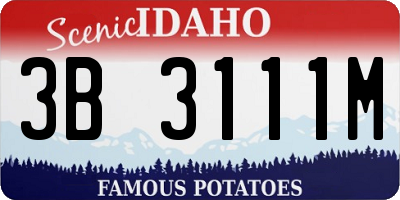 ID license plate 3B3111M